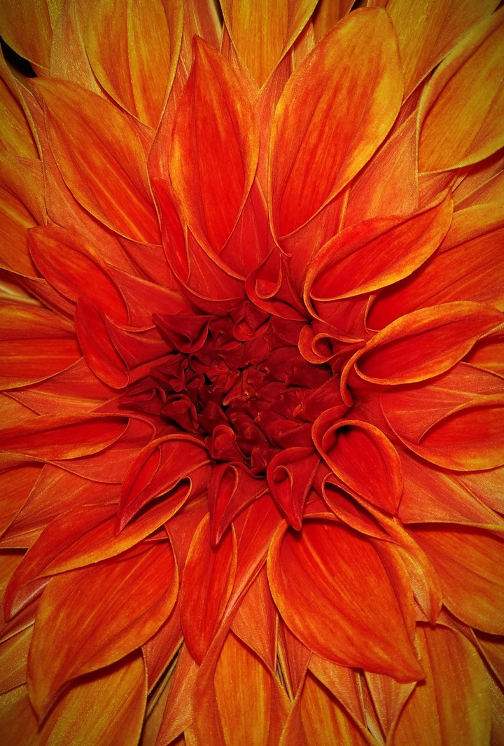 Beautiful Creation of Nature