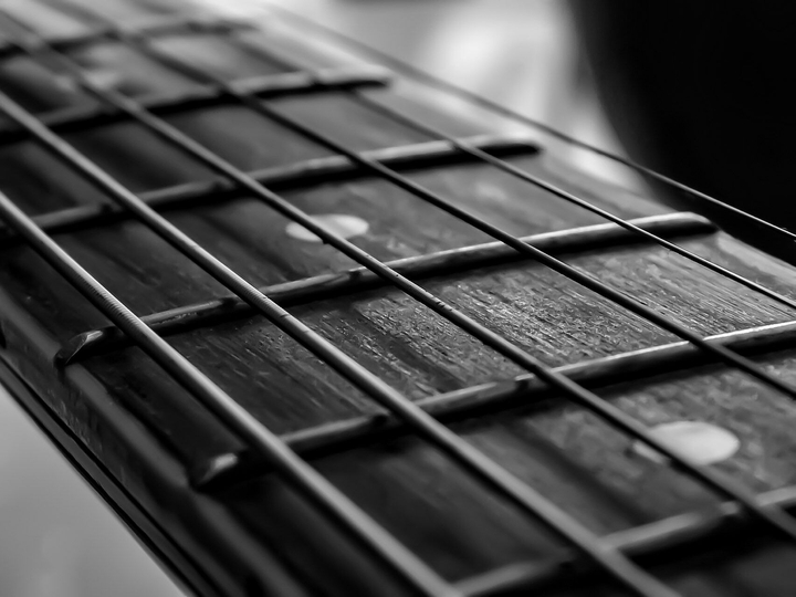 Guitar