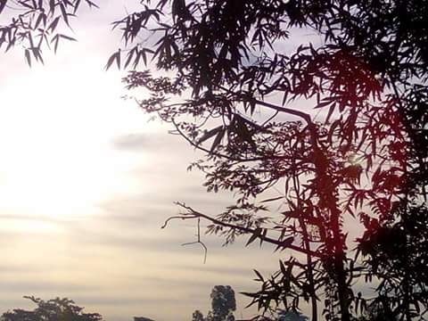 sunrise