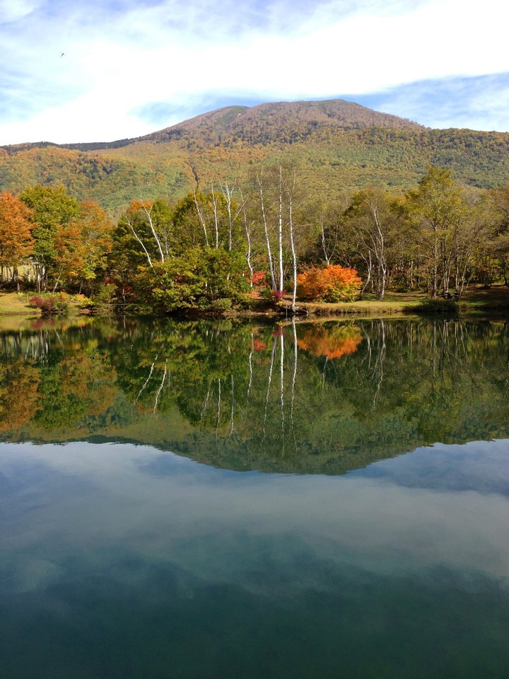 autumn