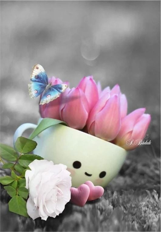 ❤️cup