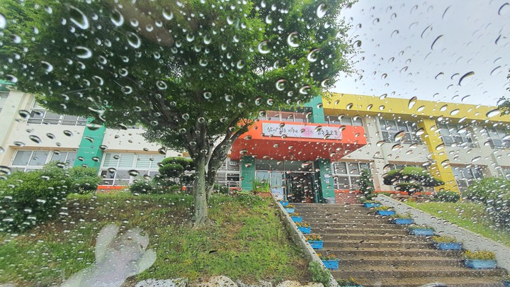 Rain