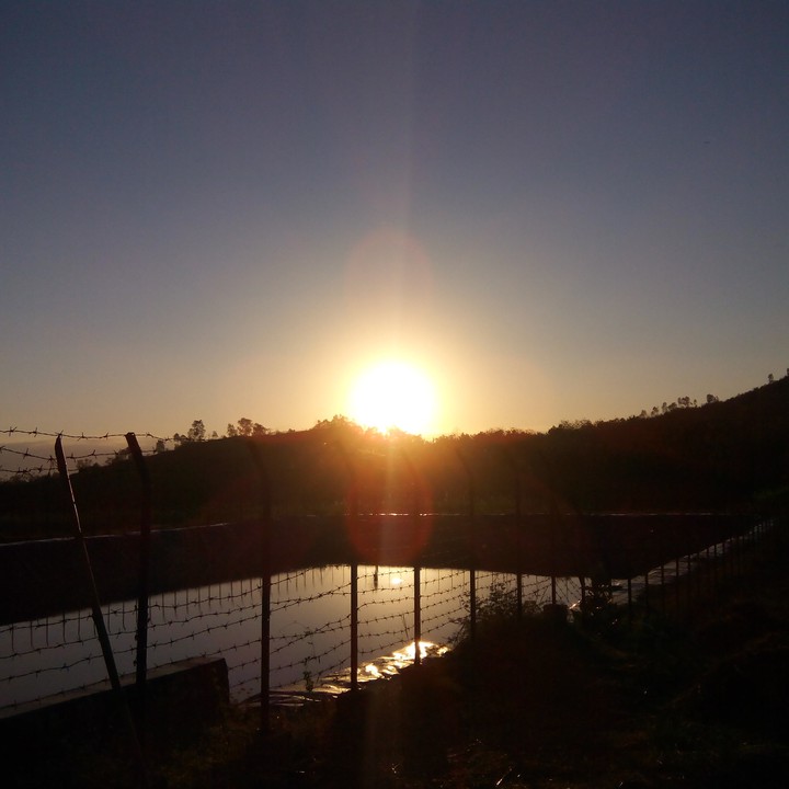 Sunrise