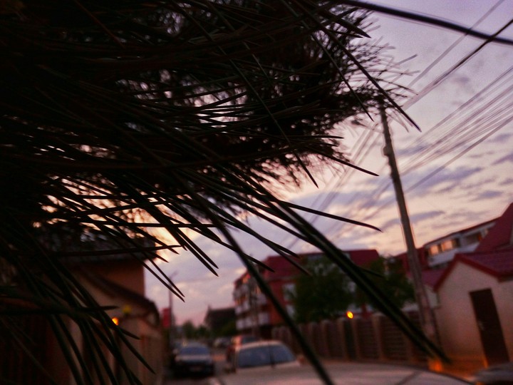 it's getting night