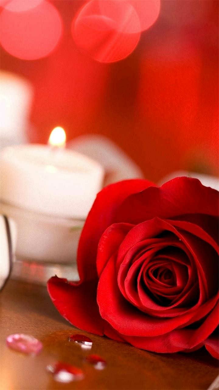 rose