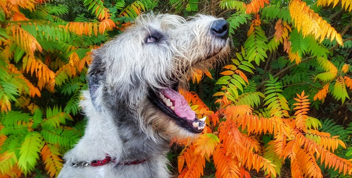 Autumn and me! Yeah!