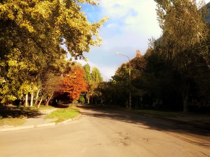 autumn
