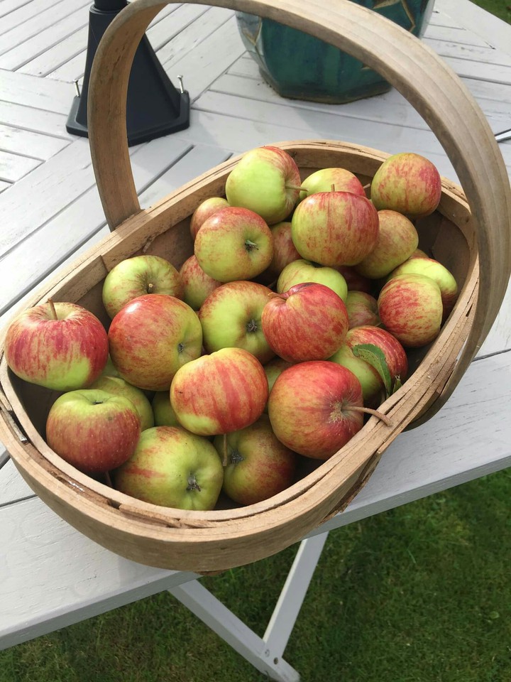 apple