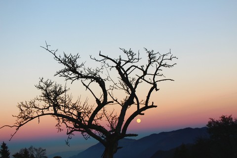 aufgehender Mond