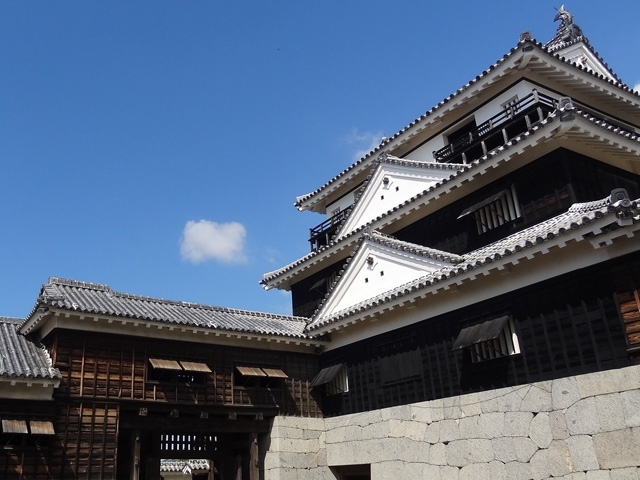 Matsuyama Castle Favorite Castle