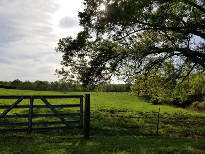 Mississippi country
