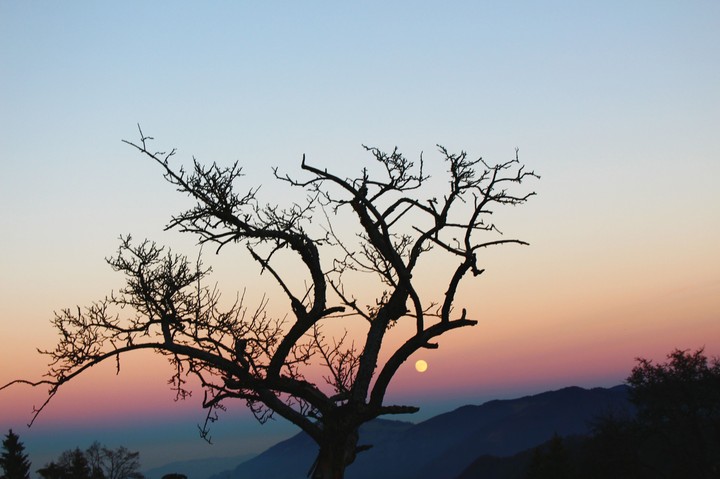 aufgehender Mond