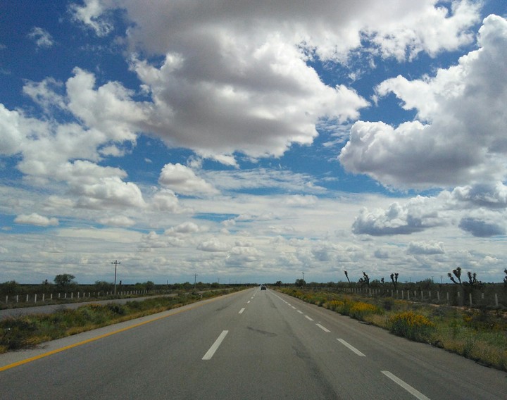 Perspectiva