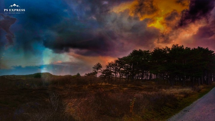 landscape