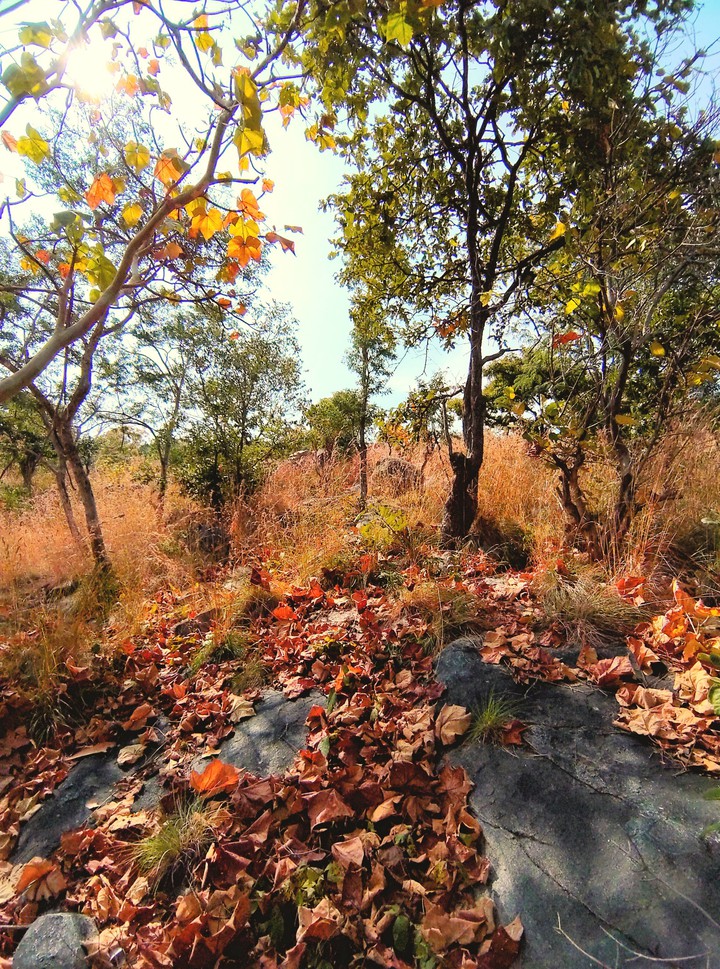 Beauty of nature