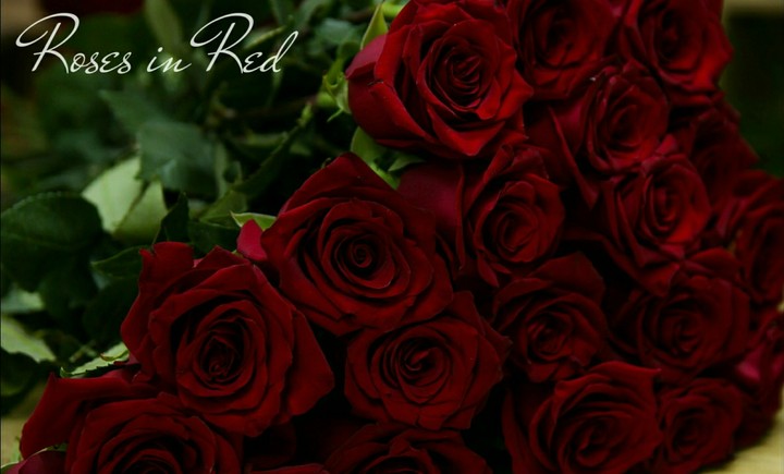 Roses in Red.