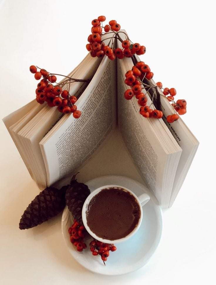 Good Morning