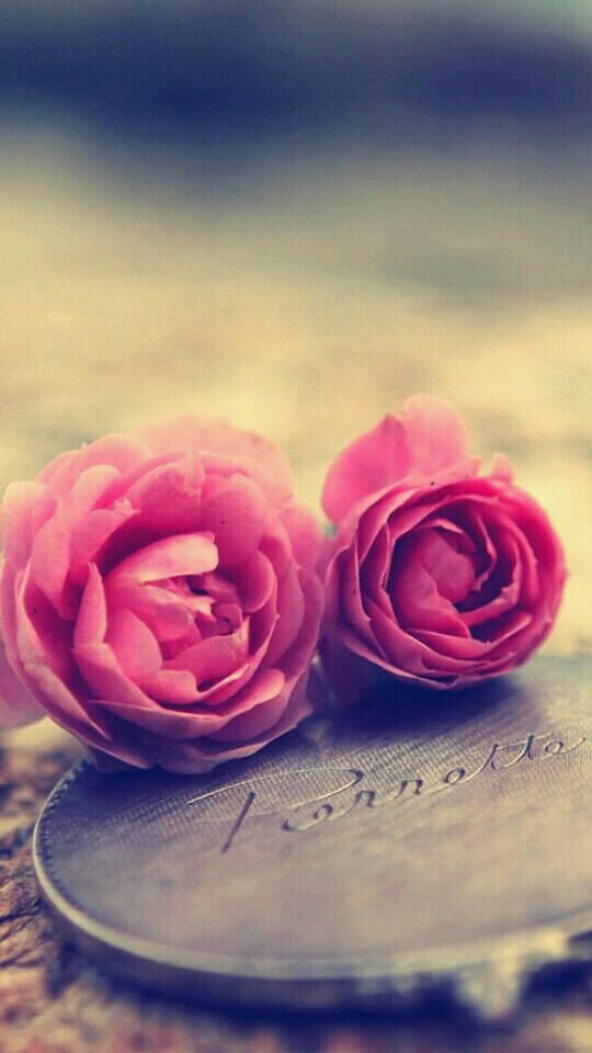flores