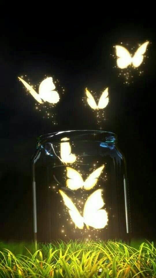 butterfly ❤❤
