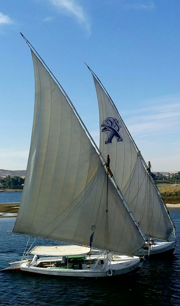 Peugeot Felucca