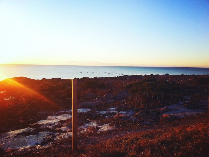 At the sea.