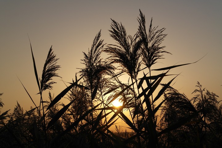 Sunrise