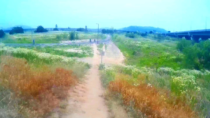 길