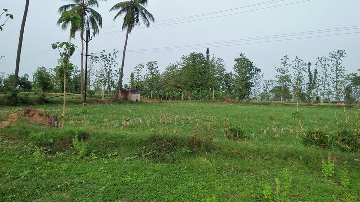 The Village In Green