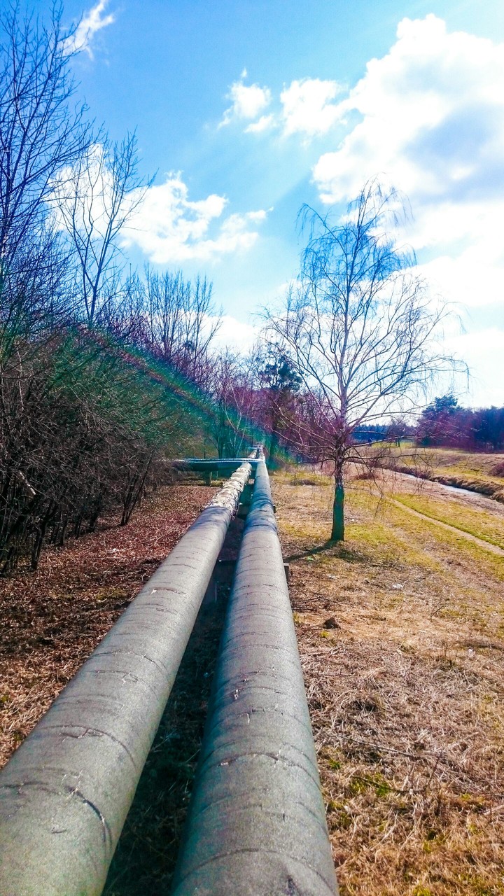 Edge of the city