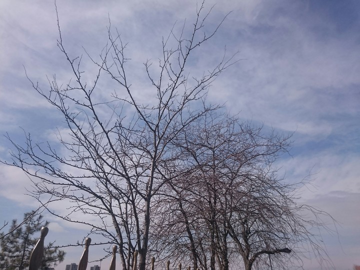 before spring..