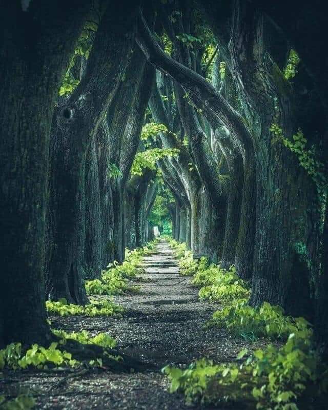 nature...