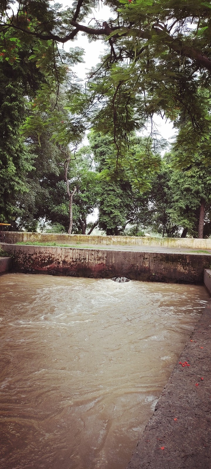 Dam