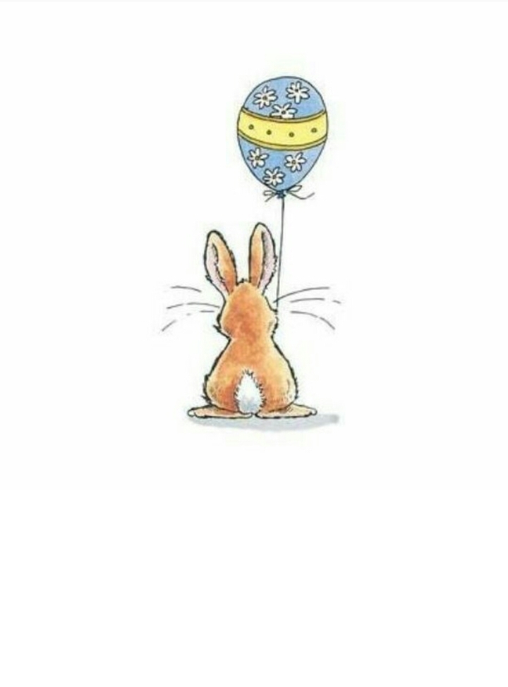 rabbit