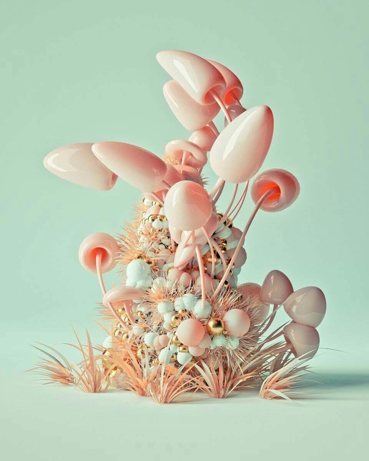 seashell