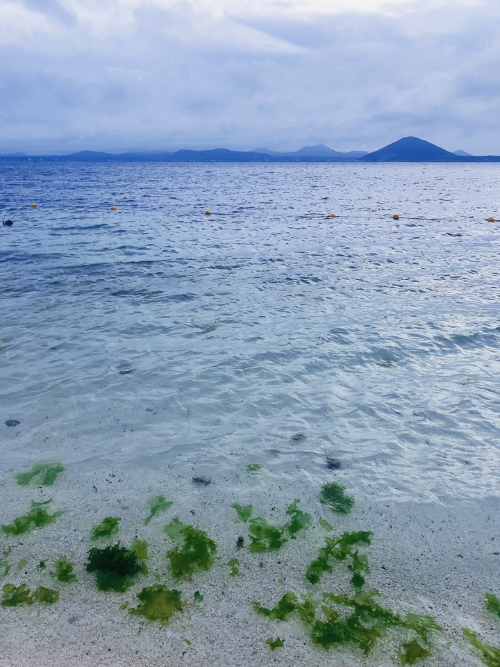 Blue ocean