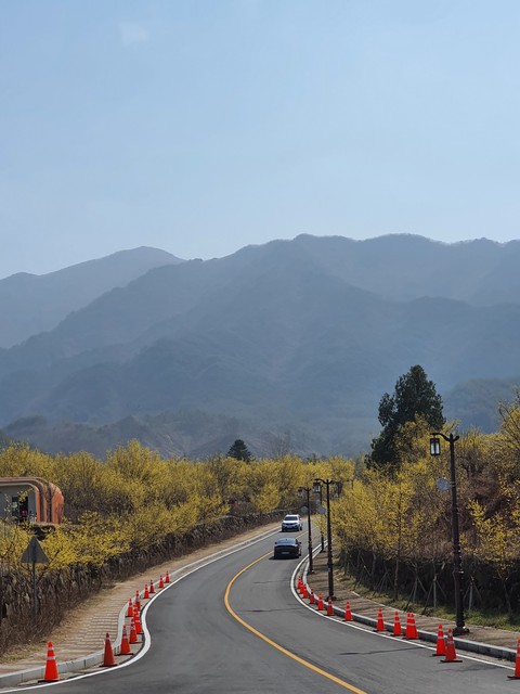 구례 산수유마을