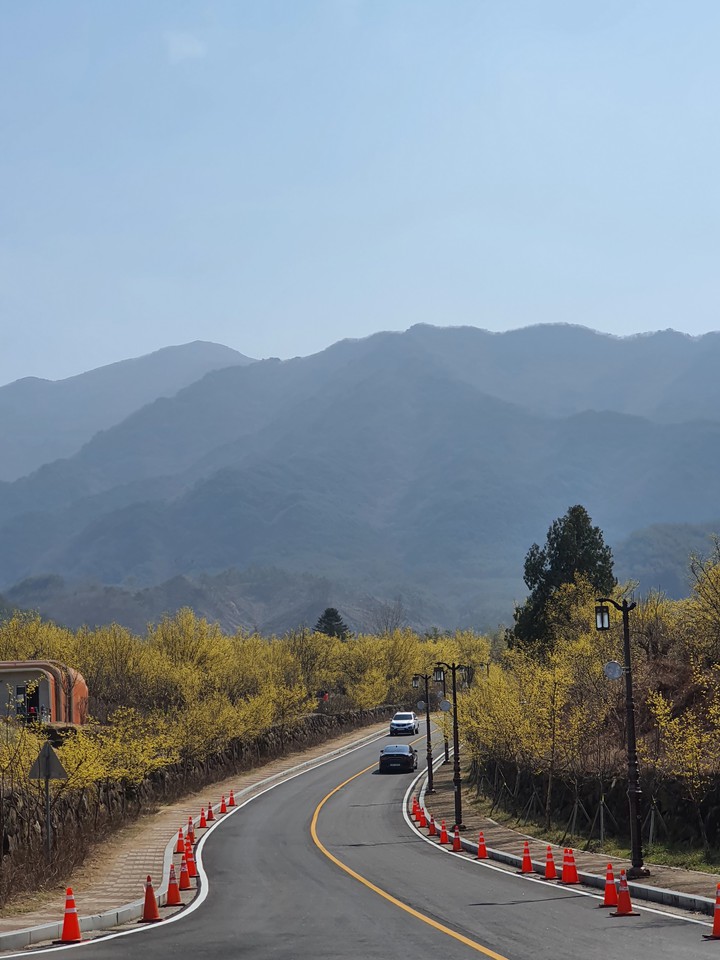 구례 산수유마을