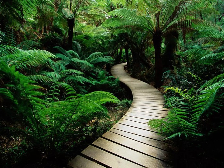 Greenery