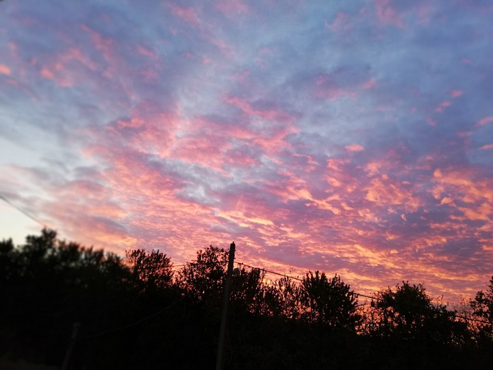 pink
