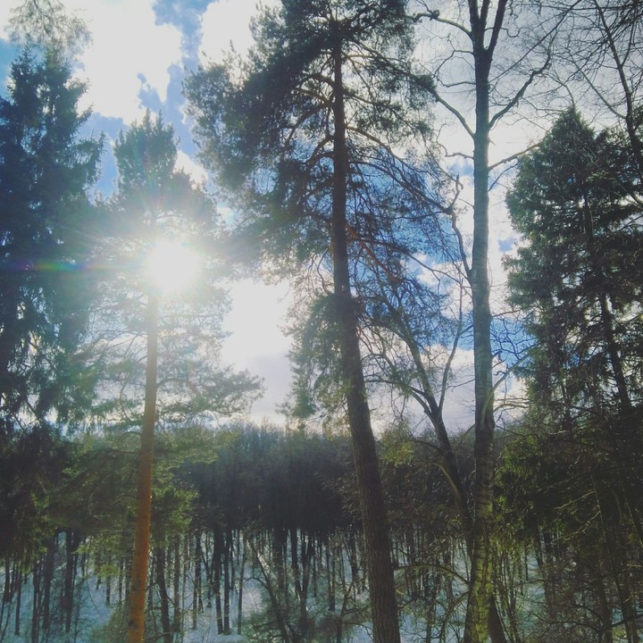 winter day
