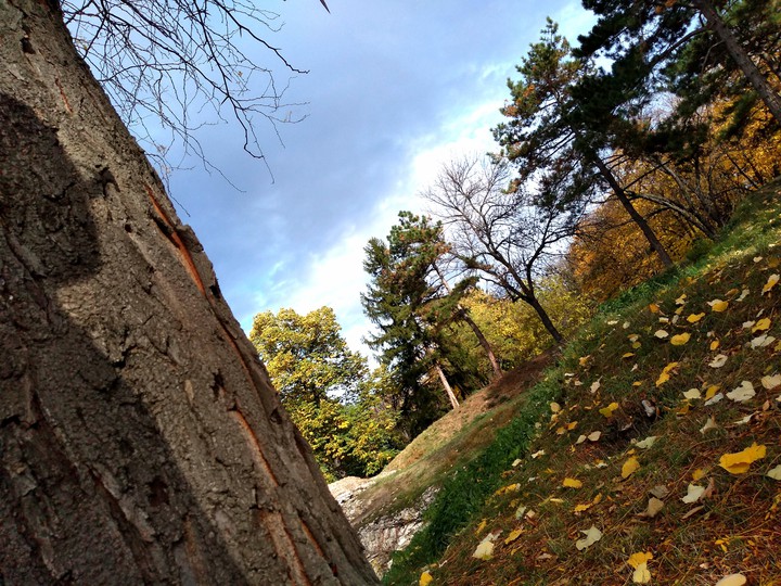 Autumn ... ???