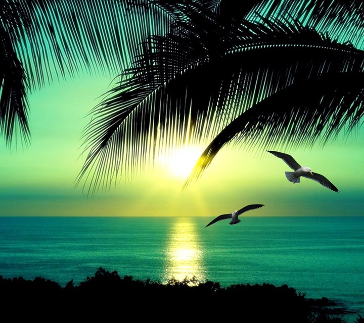 Sunset