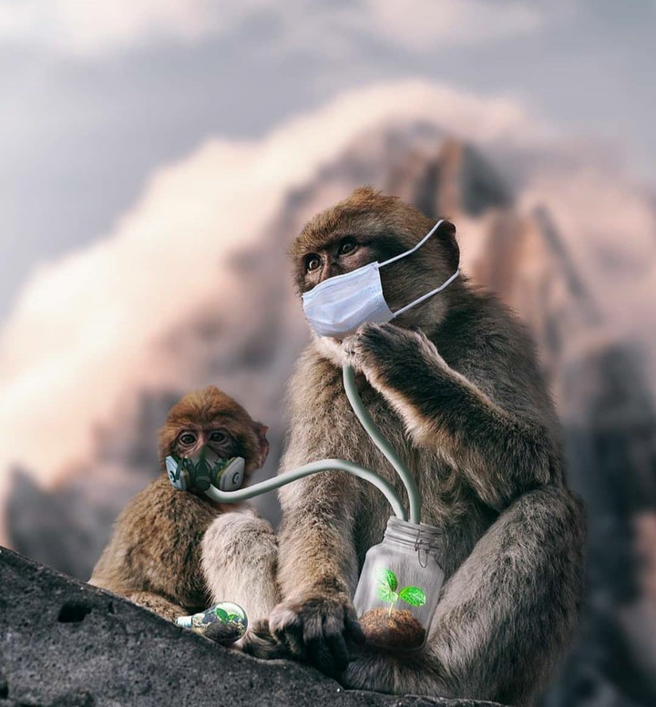 Pollution