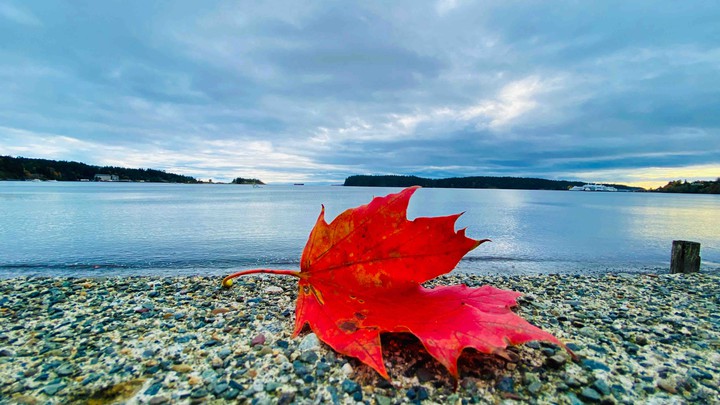 autumn