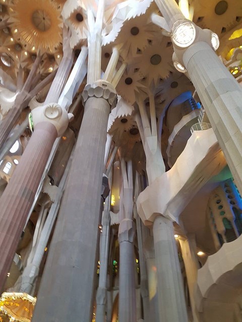 Miracle of Gaudi