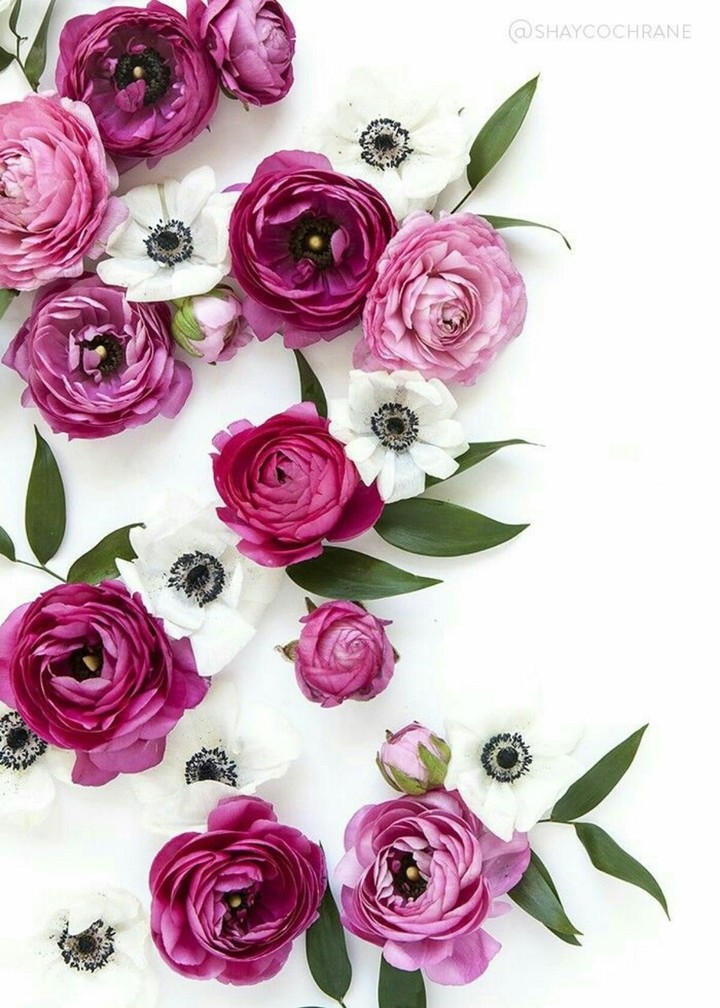 flowers