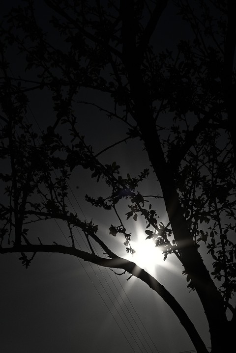 sombre