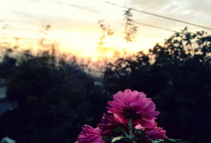 Hello Sun!