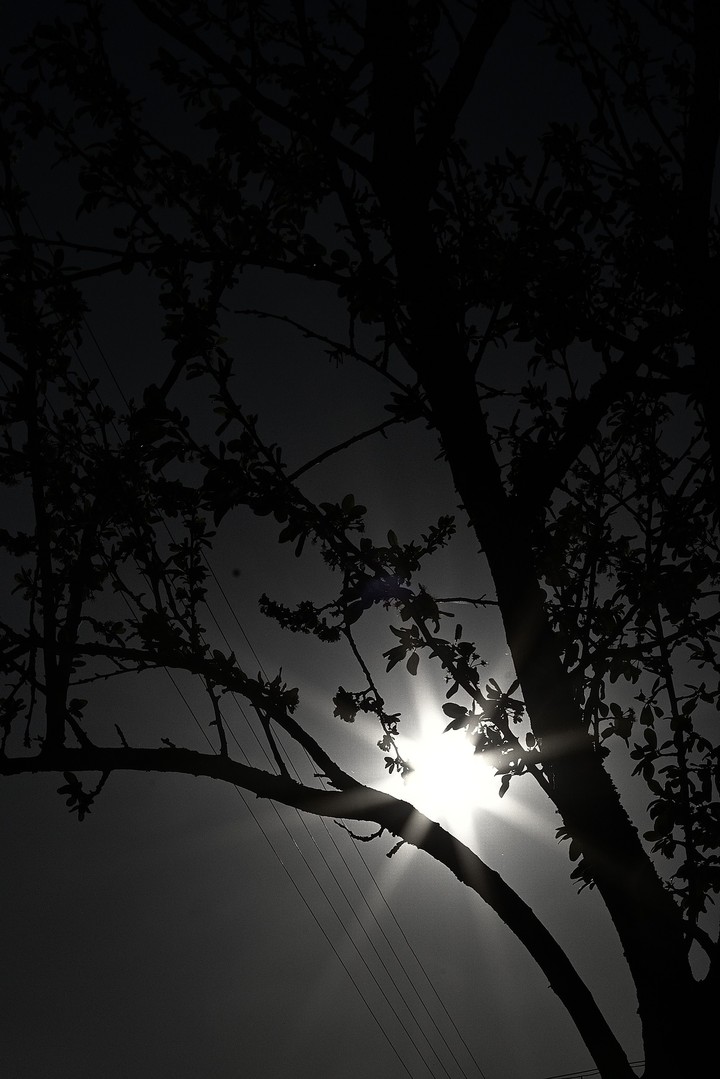 sombre
