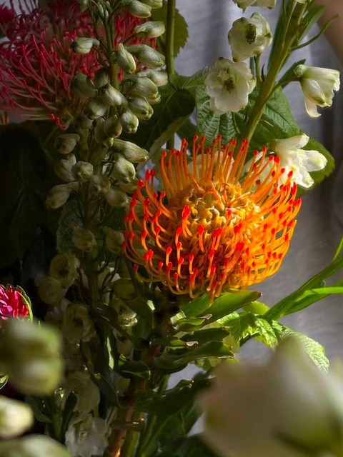 petal, floristry háttérképek